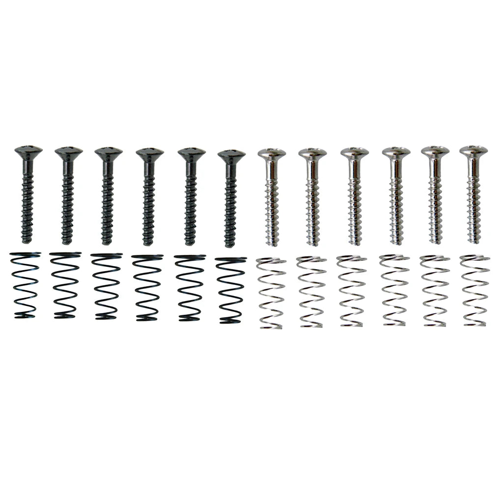 6 Pieces Electric Guitar Single Coil Pickup Screws+Springs Set
