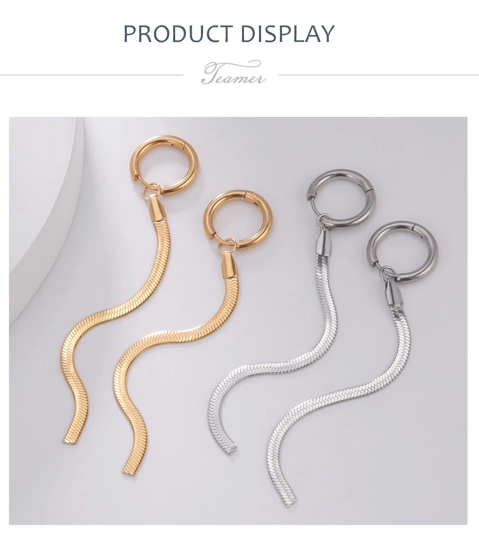Teamer Stainless Steel Long Tassel Earrings for Women Girls Fashion Snake Chain Drop Earrings Aesthetic Engagement Jewelry Gifts